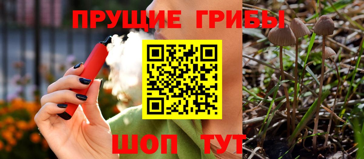 Галлюциногенные грибы Magic Shrooms Туапсе