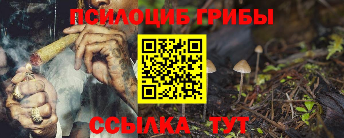 Псилоцибиновые грибы Cubensis  Вход с VPN  Туапсе 